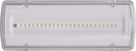 Аварійний світильник E.Next e.emerg.507L-24.led.Li.3h.IP65 3 години (l0660042) - 2