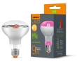 Филаментная фитолампа Videx Filament R80FF E27 9 Вт 1200K (VL-R80FF-09271) для растений - 2