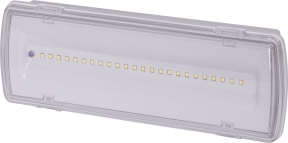 Аварійний світильник E.Next e.emerg.507L-24.led.Li.3h.IP65 3 години (l0660042)
